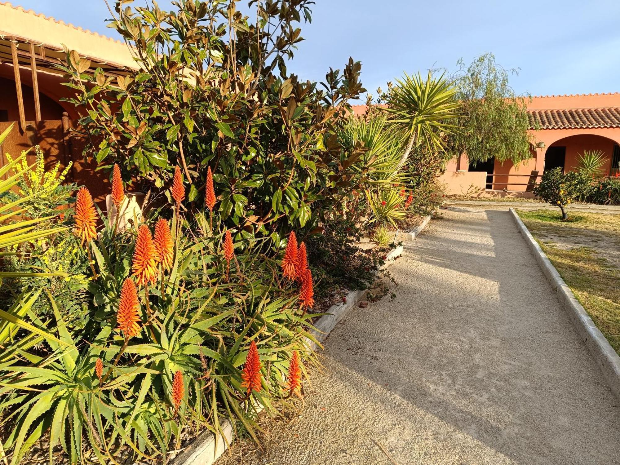Ferienwohnung Domaine La Colomine Canet-en-Roussillon Exterior foto